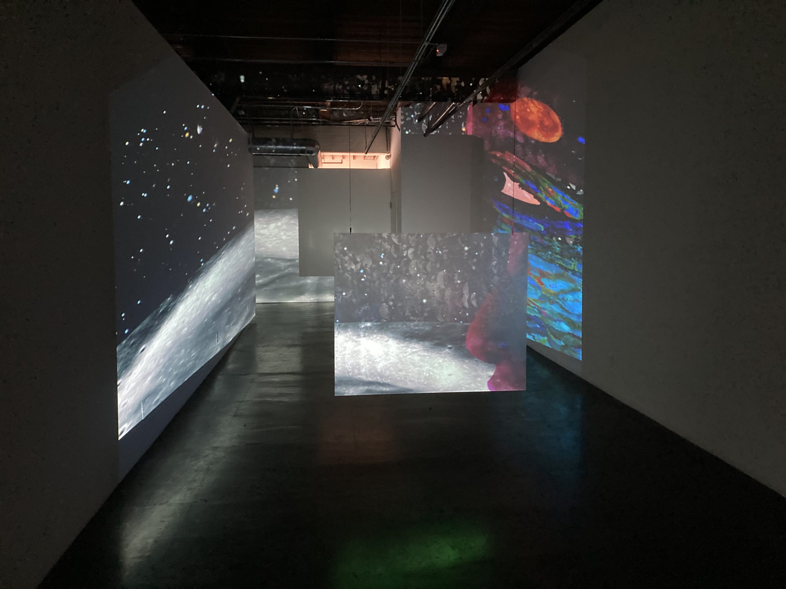 projections on walls