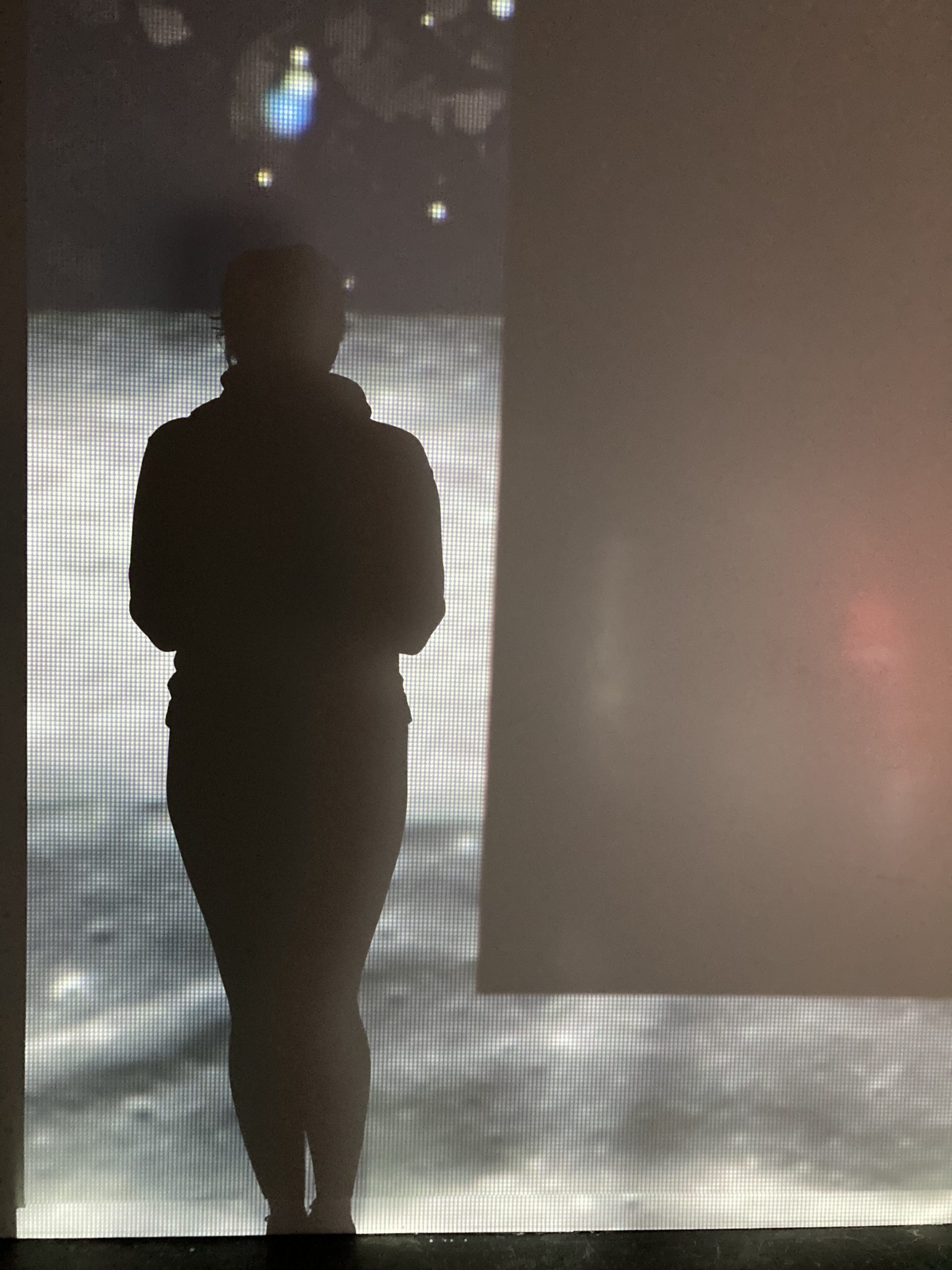 a person standing in a projected image