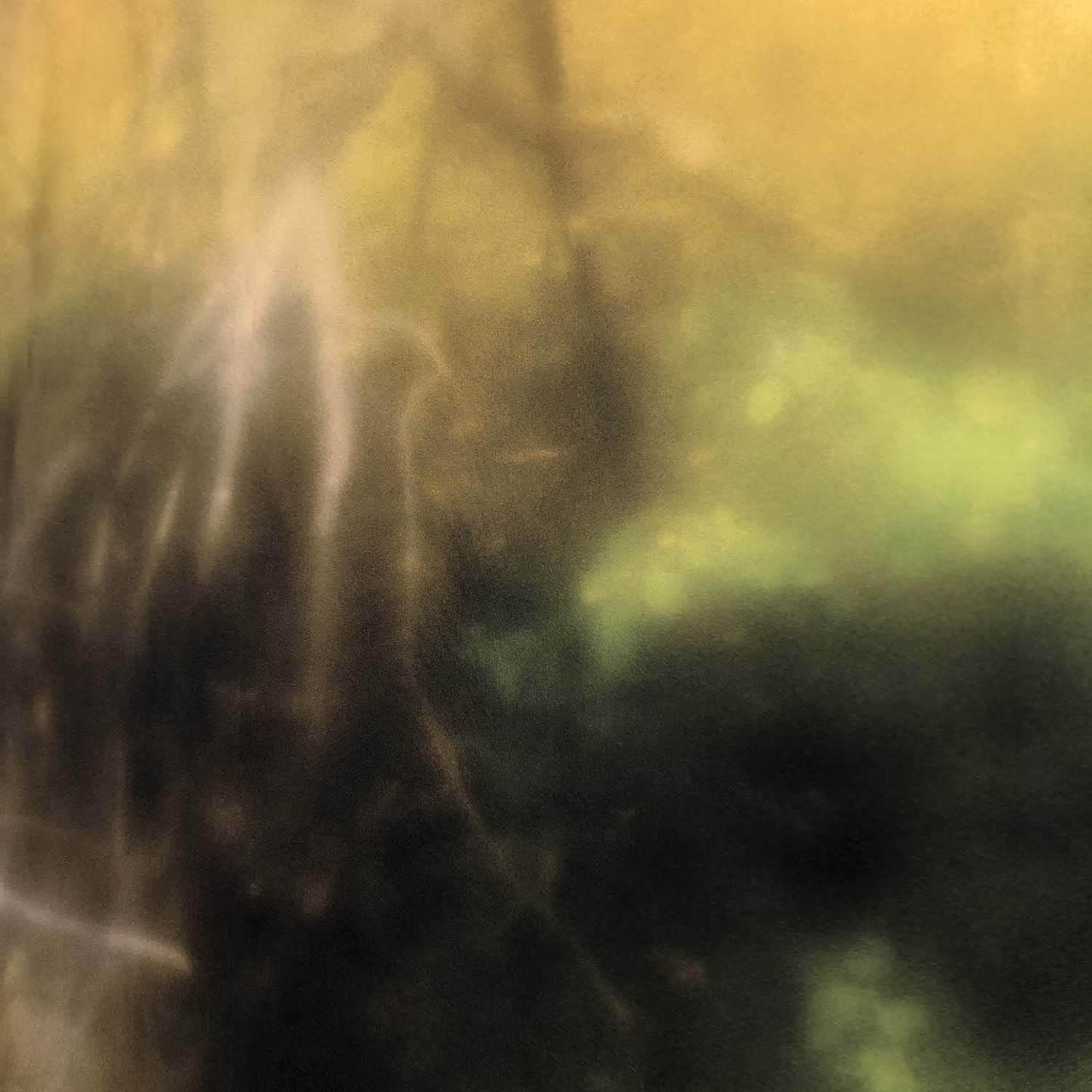 blurred elements from nature in yellow, green and brown