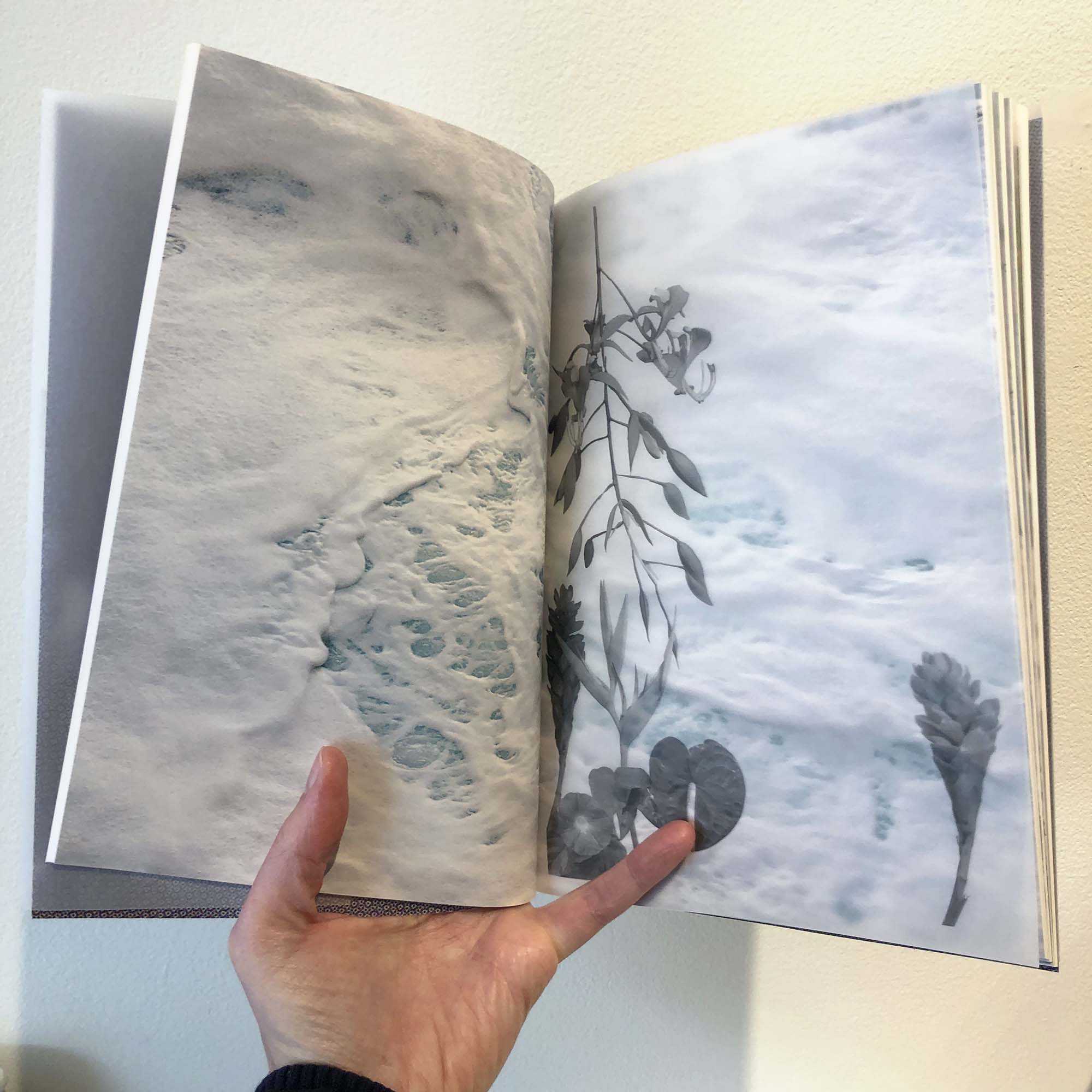 an artist book held open by a hand featuring imagery of waves and leaves