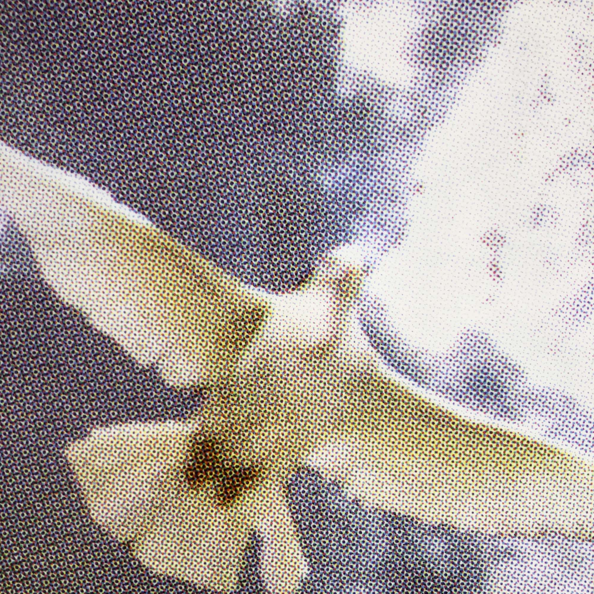 a detail image of a half-tone dove flying in the sky